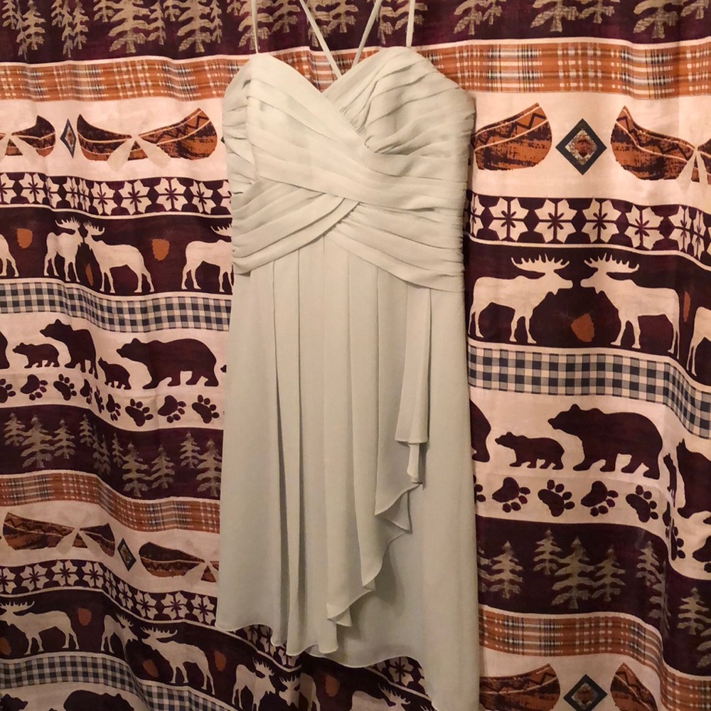 David’s Bridal Short Crinkle Chiffon in Meadow